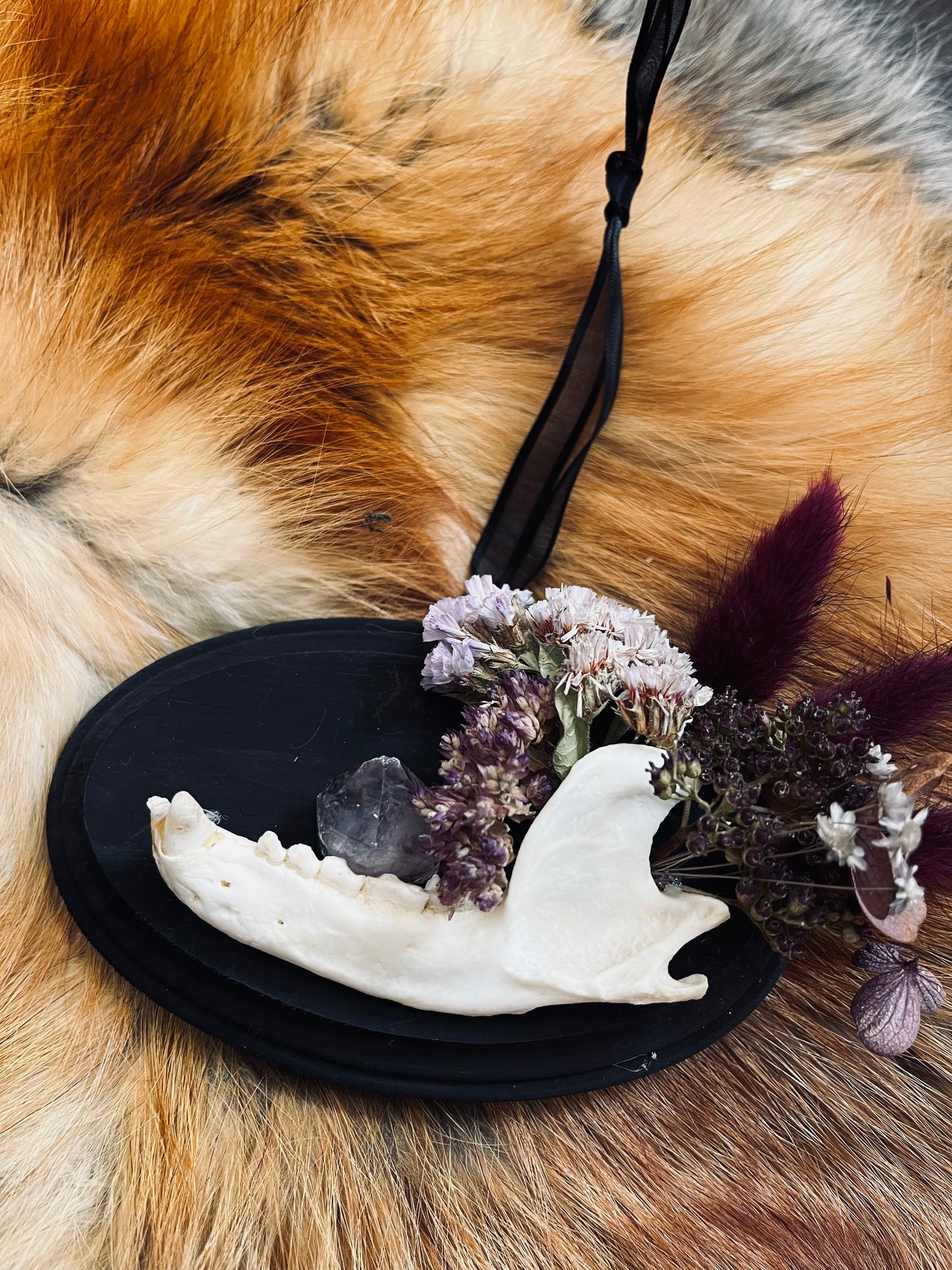 Wall-Mountable Bone and Flora Plaques