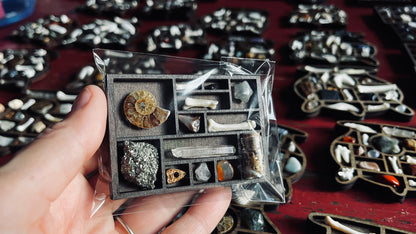 Magnetic Morbitdities- A tiny printer tray magnet for your fridge!