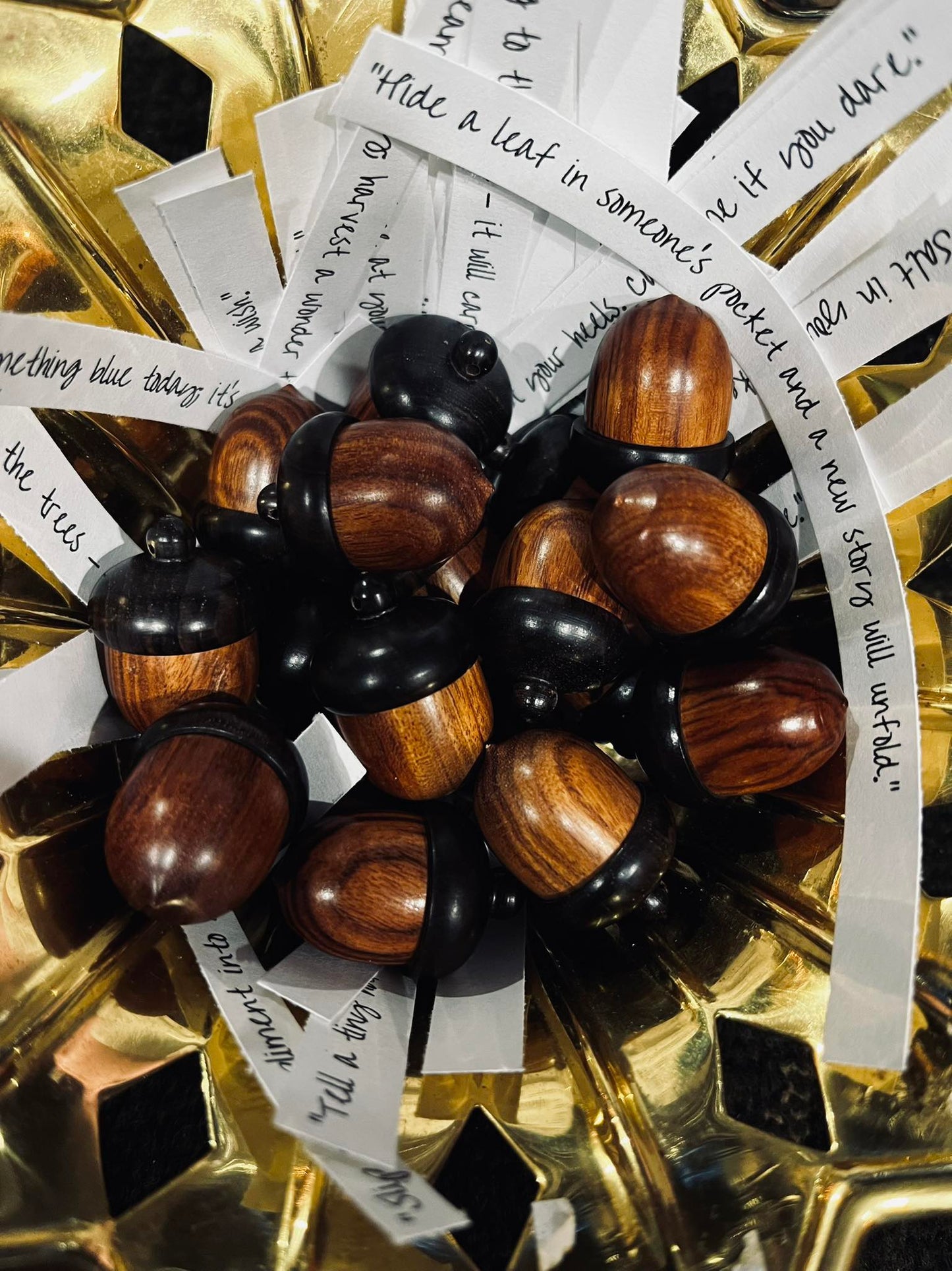 Whispers of the Woods: An Acorn with Something to Say