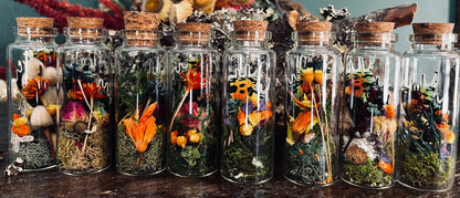 Butterfly Wing Oddity Jar- Madagascan Sunset/Urania Ripheus