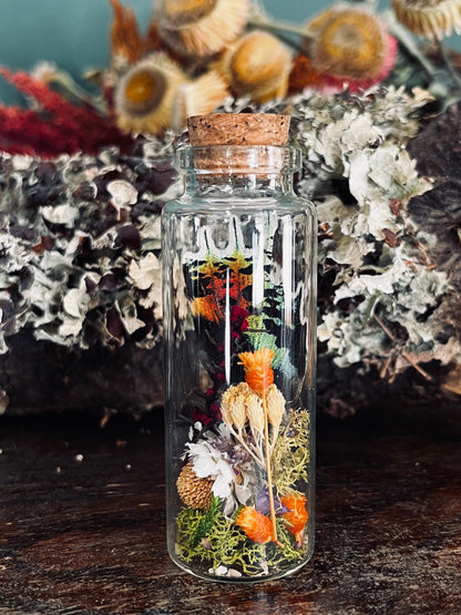 Butterfly Wing Oddity Jar- Madagascan Sunset/Urania Ripheus
