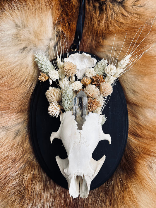 Wall-Mountable Bone and Flora Plaques DEPOSIT