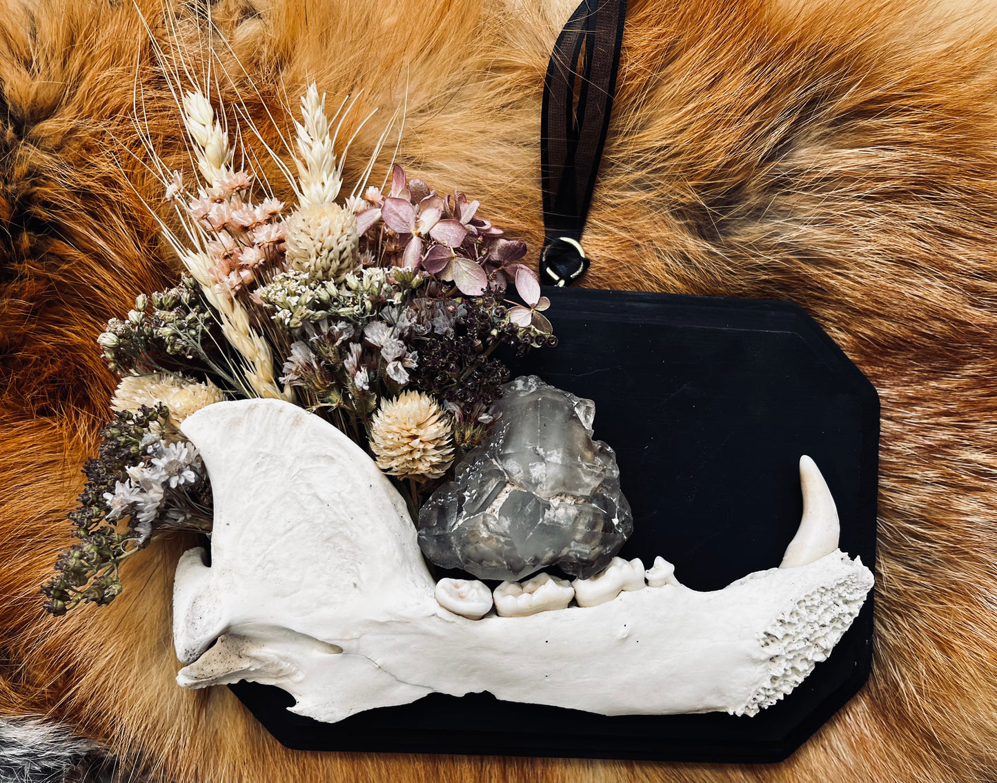 Wall-Mountable Bone and Flora Plaques