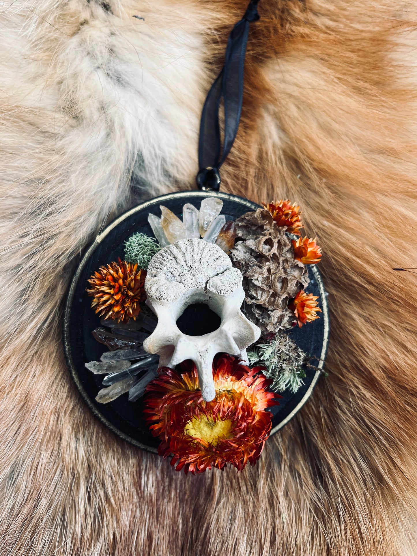 Wall-Mountable Bone and Flora Plaques